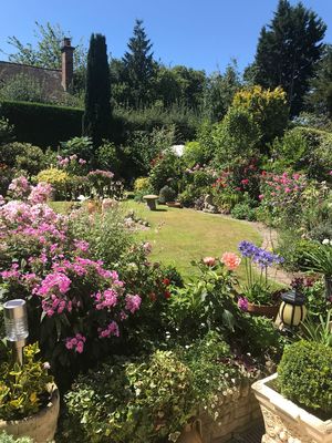 Photo 2- click for photo gallery